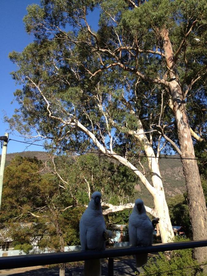 Glengarriff Townhouse 3 Halls Gap Exterior photo